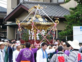 大磯 国府新宿　八坂神社神輿
