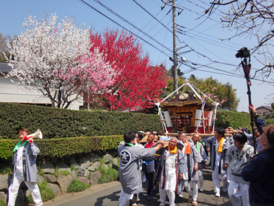 羽根須賀神社神輿渡御風景１