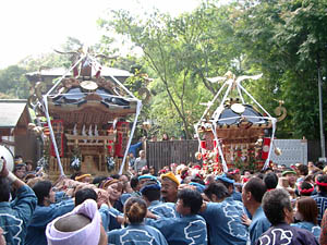 �{�����i�P