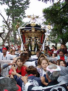 ���f�B�[�X�^�C���R