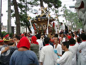 �{���n�䕗�i�P