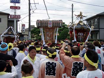 �O�������