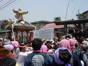 ���f�B�[�X�^�C���n�䕗�i�P