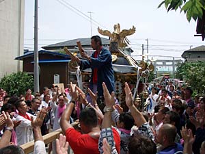 �O�{����