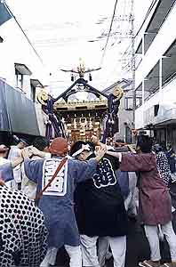 ����12�N�q�̎З��� �n�䕗�i�Q