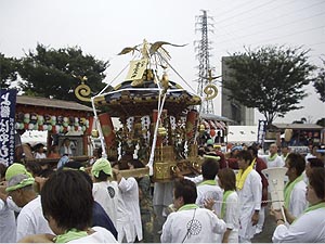 �O�{ �L���_