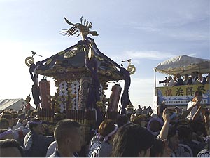 �P��̃A�i�E���X