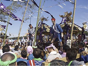 �ҍK�Ɍ���������