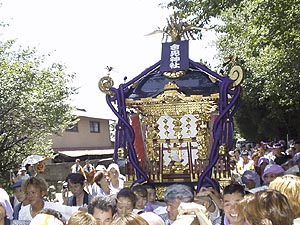 �q���̑�_�`