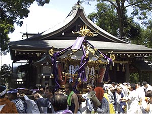 �����l�ł���