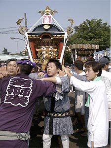 �}�T�q���N����