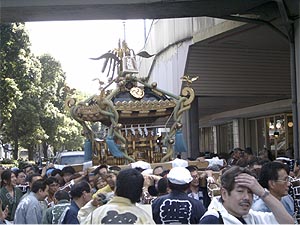 �r���r����