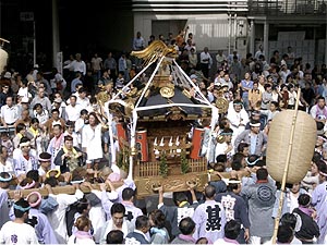 �Z�r����Q