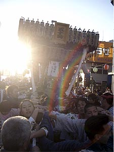 �J�I������񁗉�