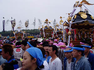 �_�~�Ֆ͗l�P