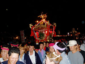 ���c������