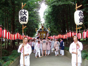 �Q�����i�P