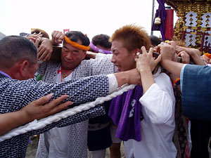 �m�u���񁗉�