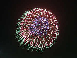 ���ɍ炭��ւ̉؂P