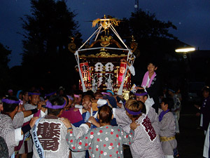 �V�Q�p�p����