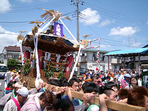 �_���������