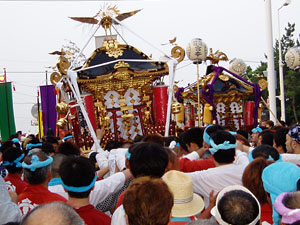 ���쁕���J