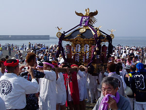 ������_����