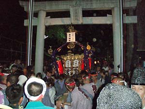 �������蕗�i