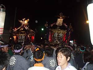 ����_�БO���i�Q