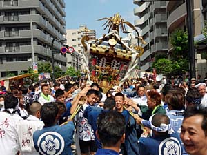 �`�r������Q