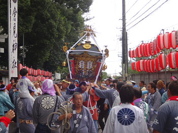 ���q�n���