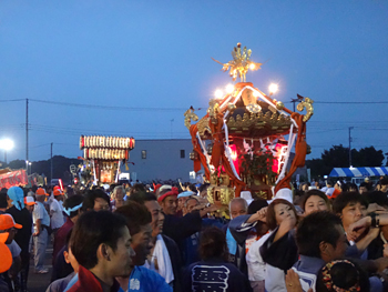 ���c������_�`�P�����₹��[����