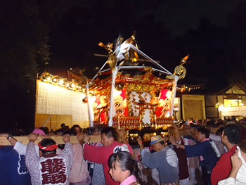 �c�q��_�E����_�Ѝ՗� �_�`�{���T